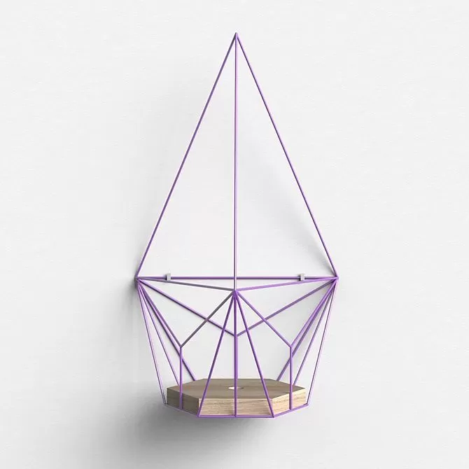 картинка Подвесное кашпо Шаттл в фиолетовом цвете от ARCHPOLE