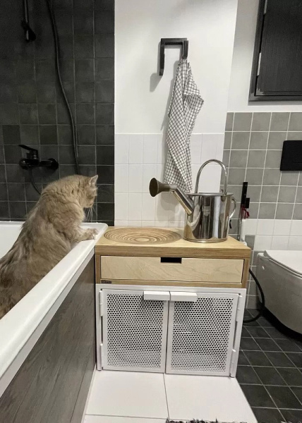 tualetcat_house
