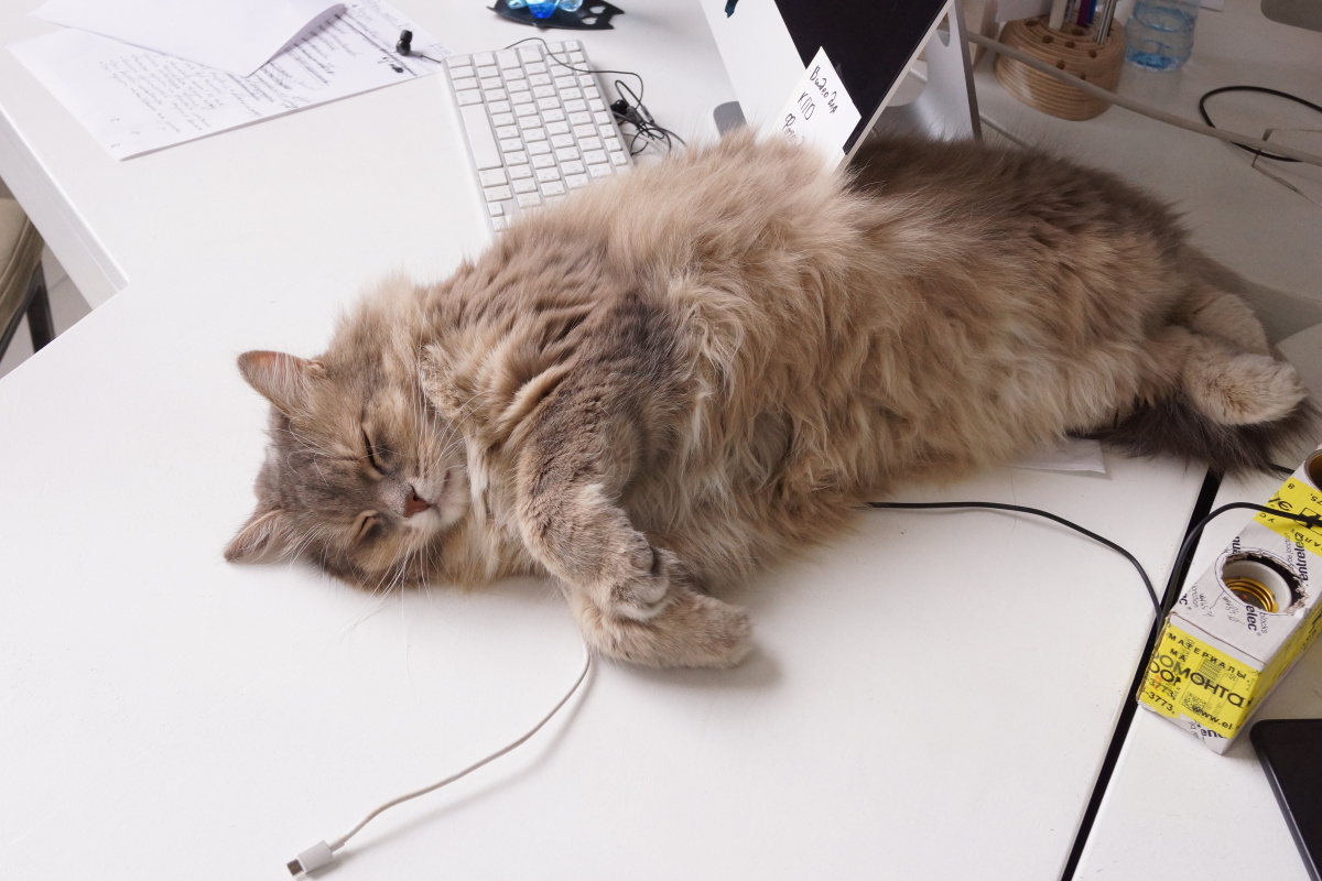 1. Консультация менеджера - ARCHPOLE