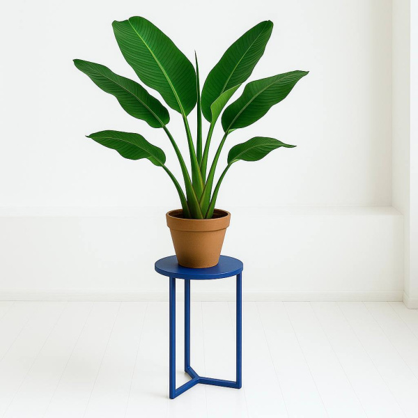 картинка тумба <Дружок Кружок> от ARCHPOLE