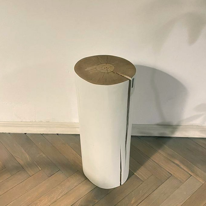 картинка В НАЛИЧИИ пень арт. 18741 от ARCHPOLE