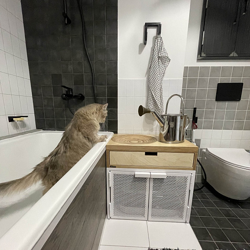 tualetcat_house