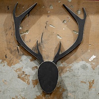 Настенные рога с головой №2 <дизайн-олень>  фанера-винтажный черный от ARCHPOLE в Москве